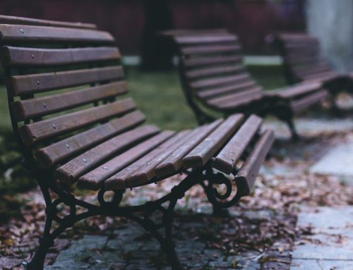 Vida en la ciudad – Espacio público