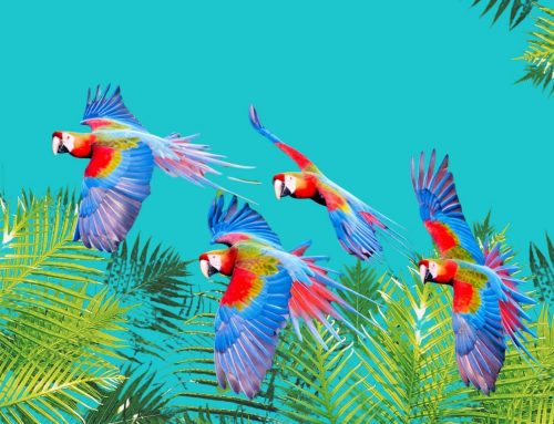 Protegido: La deforestación tropical es uno de los principales impulsores del cambio climático y la pérdida de biodiversidad.