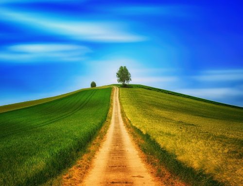 Protegido: Poder del siglo pasado, conocimiento del siglo XXI: la brecha que define nuestro destino como civilización.