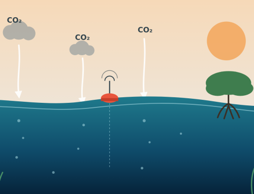 El océano, aliado climático bajo presión