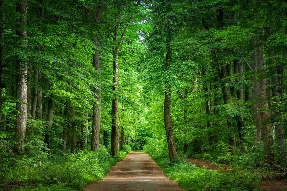 Homenaje a Adriano Trimboli